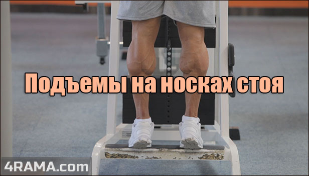 Подъемы на носки стоя - Бодибилдинг форум AnabolicShops