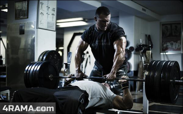 Обратная пирамида - Бодибилдинг форум AnabolicShops