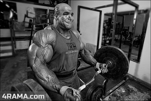 Обратная пирамида - Бодибилдинг форум AnabolicShops