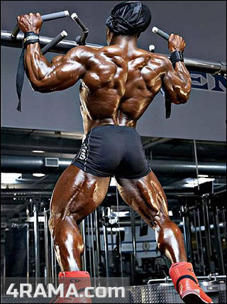 Система Плинтовича - Бодибилдинг форум AnabolicShops