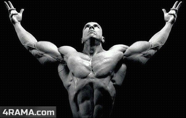 Оптимальная частота тренировок - Бодибилдинг форум AnabolicShops