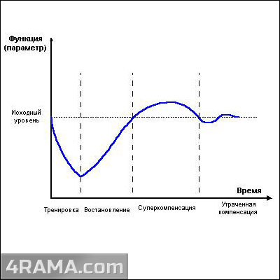 Оптимальная частота тренировок - Бодибилдинг форум AnabolicShops