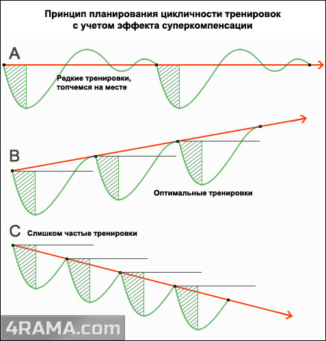 Оптимальная частота тренировок - Бодибилдинг форум AnabolicShops