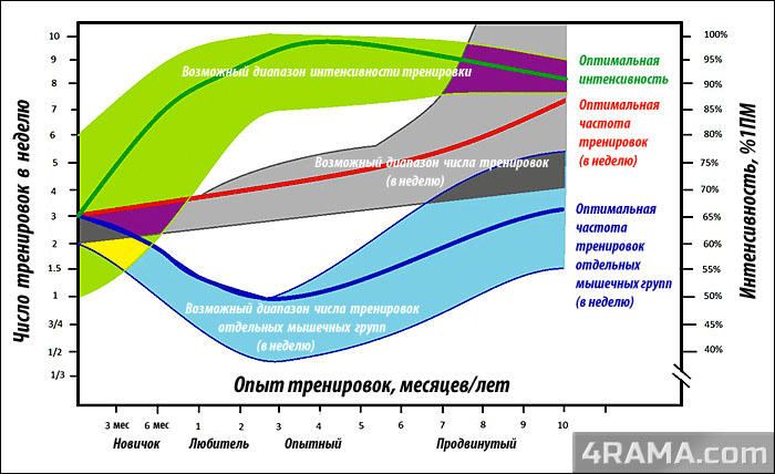 Оптимальная частота тренировок - Бодибилдинг форум AnabolicShops