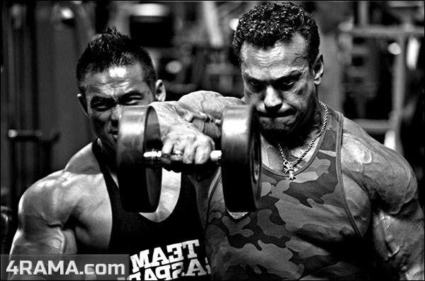 Подъемы гантелей перед собой - Бодибилдинг форум AnabolicShops