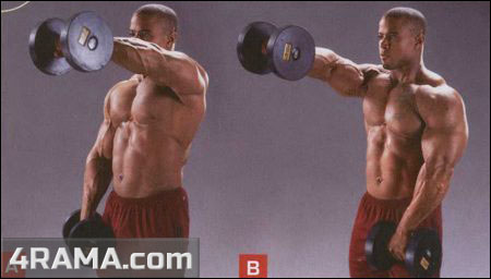 Подъемы гантелей перед собой - Бодибилдинг форум AnabolicShops
