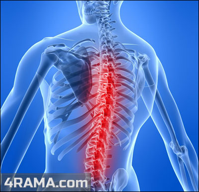 Нужна ли становая тяга? - Бодибилдинг форум AnabolicShops