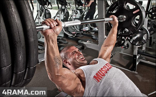 Программа тренировок на грудь - Бодибилдинг форум AnabolicShops