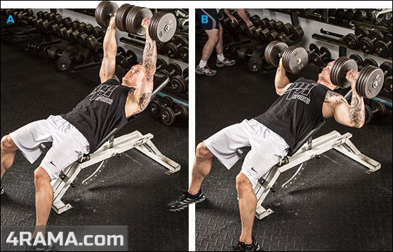 Программа тренировок на грудь - Бодибилдинг форум AnabolicShops