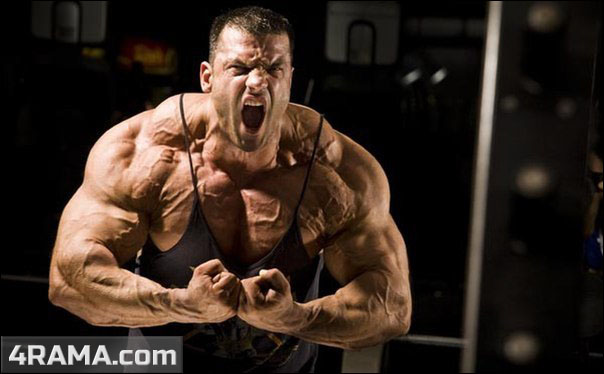 Как накачаться эндоморфу - Бодибилдинг форум AnabolicShops