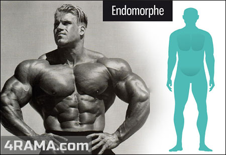Как накачаться эндоморфу - Бодибилдинг форум AnabolicShops