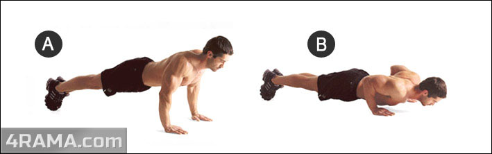 Как накачать руки гантелями дома - Бодибилдинг форум AnabolicShops