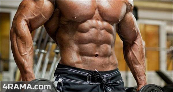 Программы тренировок для начинающих - Бодибилдинг форум AnabolicShops