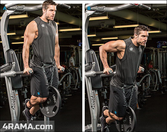 Программы тренировок для начинающих - Бодибилдинг форум AnabolicShops