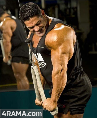 Упражнения для тренировки трицепса - Бодибилдинг форум AnabolicShops