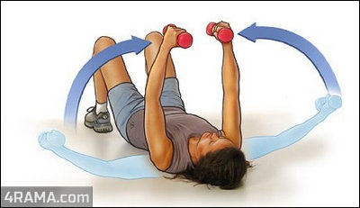 Упражнения для грудных мышц для женщин - Бодибилдинг форум AnabolicShops