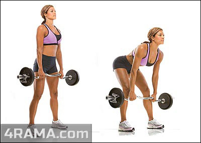 Как накачать мышцы ног девушке - Бодибилдинг форум AnabolicShops