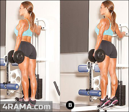 Как накачать икры ног - Бодибилдинг форум AnabolicShops