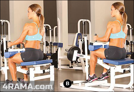 Как накачать икры ног - Бодибилдинг форум AnabolicShops