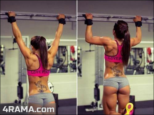 Упражнения для спины - Бодибилдинг форум AnabolicShops