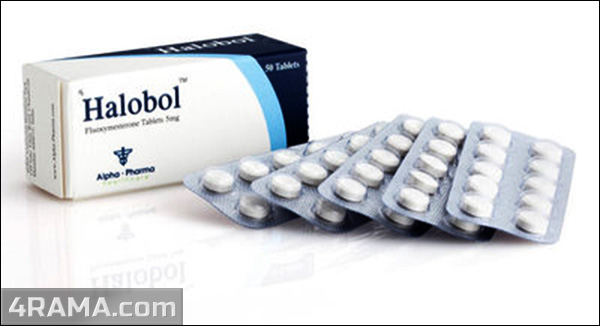 Halobol - Бодибилдинг форум AnabolicShops