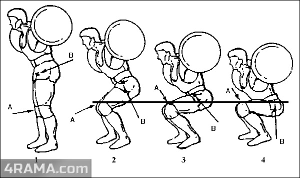 Приседания со штангой - Бодибилдинг форум AnabolicShops