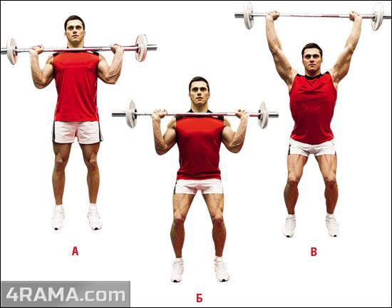 Жим штанги стоя - Бодибилдинг форум AnabolicShops