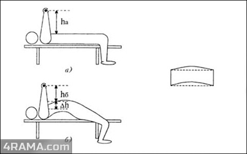 Жим лежа - Бодибилдинг форум AnabolicShops