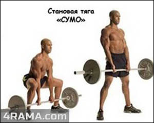 Становая тяга - Бодибилдинг форум AnabolicShops