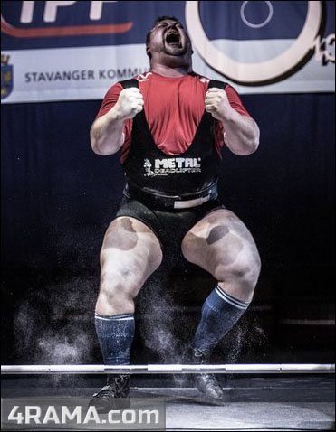 Программа тренировок от Шейко - Бодибилдинг форум AnabolicShops