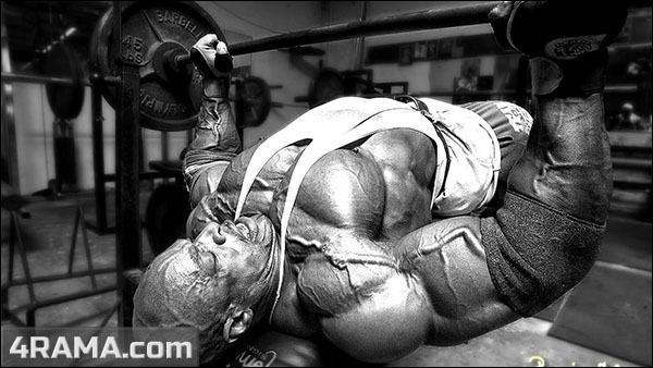 Программа тренировок для увеличения жима лежа - Бодибилдинг форум AnabolicShops