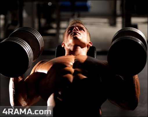 Программа тренировок для увеличения жима лежа - Бодибилдинг форум AnabolicShops