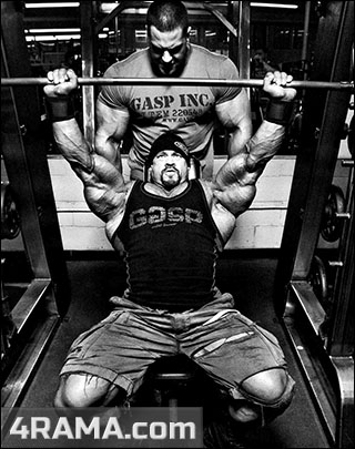 Программа тренировок для увеличения жима лежа - Бодибилдинг форум AnabolicShops