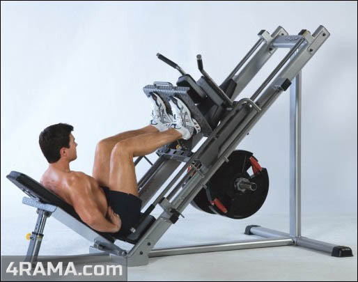 Упражнения в пауэрлифтинге - Бодибилдинг форум AnabolicShops