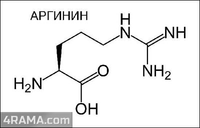 Аргинин в бодибилдинге - Бодибилдинг форум AnabolicShops