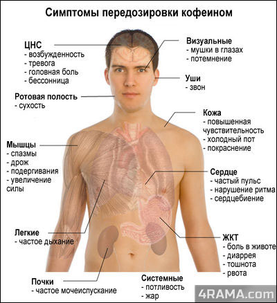 Кофеин в бодибилдинге - Бодибилдинг форум AnabolicShops