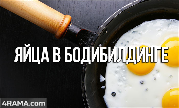 Яйца в бодибилдинге - Бодибилдинг форум AnabolicShops