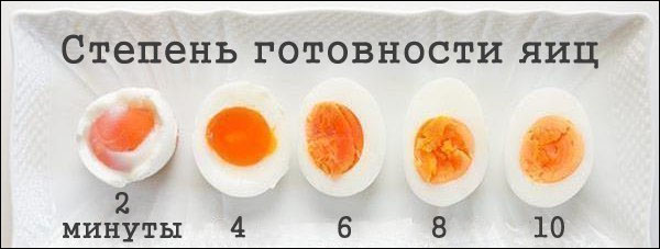 Яйца в бодибилдинге - Бодибилдинг форум AnabolicShops