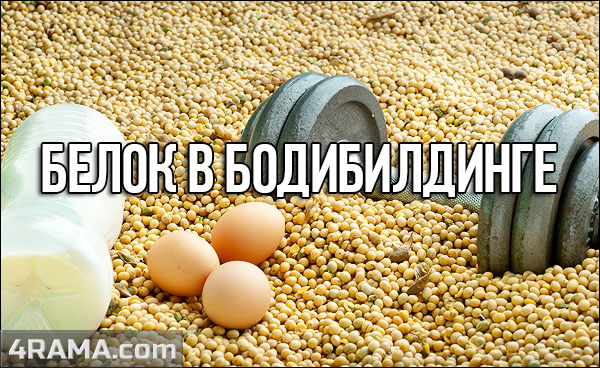 Белок в бодибилдинге - Бодибилдинг форум AnabolicShops
