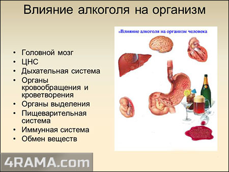 Алкоголь и бодибилдинг - Бодибилдинг форум AnabolicShops