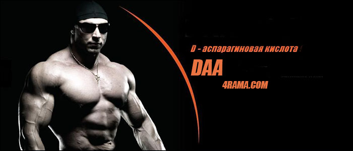 D-аспаргиновая кислота (DAA) - Бодибилдинг форум AnabolicShops