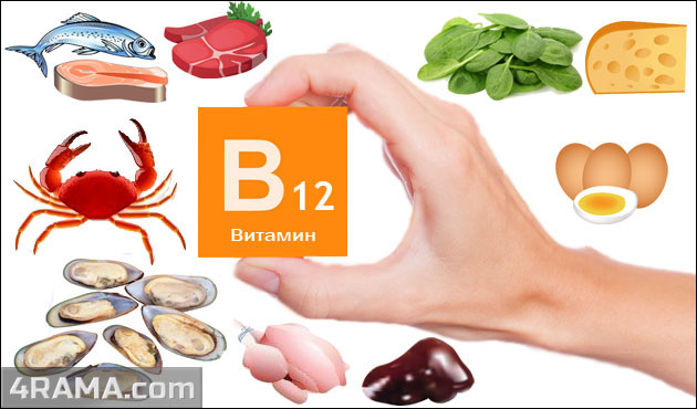Витамин B12 - Бодибилдинг форум AnabolicShops