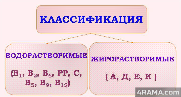 Витамины для бодибилдинга - Бодибилдинг форум AnabolicShops