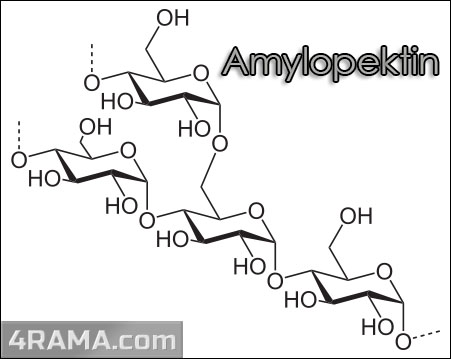 Амилопектин - Бодибилдинг форум AnabolicShops