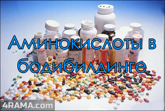 Аминокислоты в бодибилдинге - Бодибилдинг форум AnabolicShops