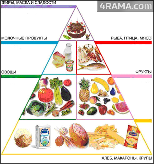 Как правильно питаться при тренировках - Бодибилдинг форум AnabolicShops