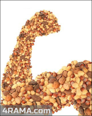 Орехи в бодибилдинге - Бодибилдинг форум AnabolicShops