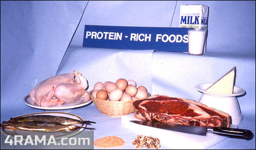 Быстрые белки после тренировки - Бодибилдинг форум AnabolicShops