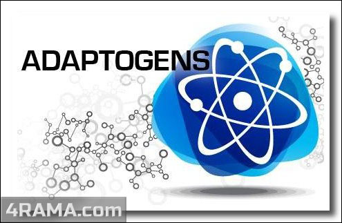 Адаптогены - Бодибилдинг форум AnabolicShops