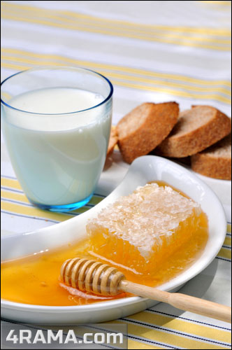 Мед в бодибилдинге - Бодибилдинг форум AnabolicShops